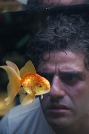 Japon Balığı Sorunu