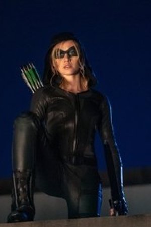 Green Arrow & The Canaries