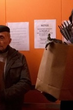 Ortaklar, Haklı mıyım?