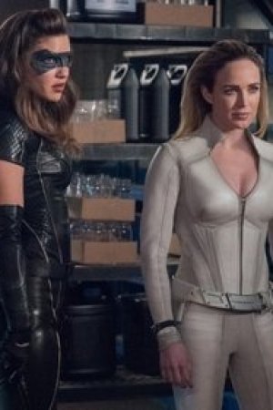 Lost Canary