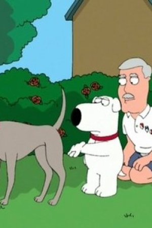 Köpeği Pert Etti