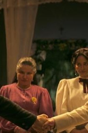 Kestane Ağacı