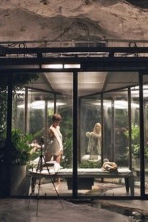 No. 6: Yol Ayrımı