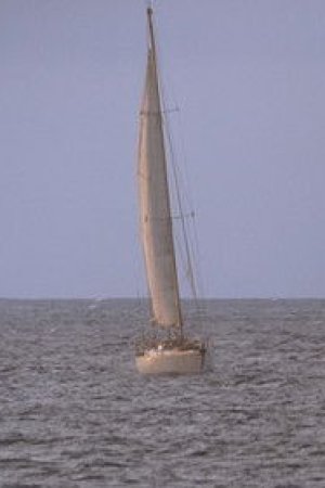 Üç Dakika