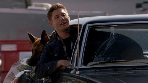 Dean, Köpek ve Öğleden Sonra