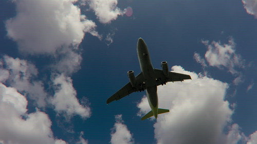 Pilot